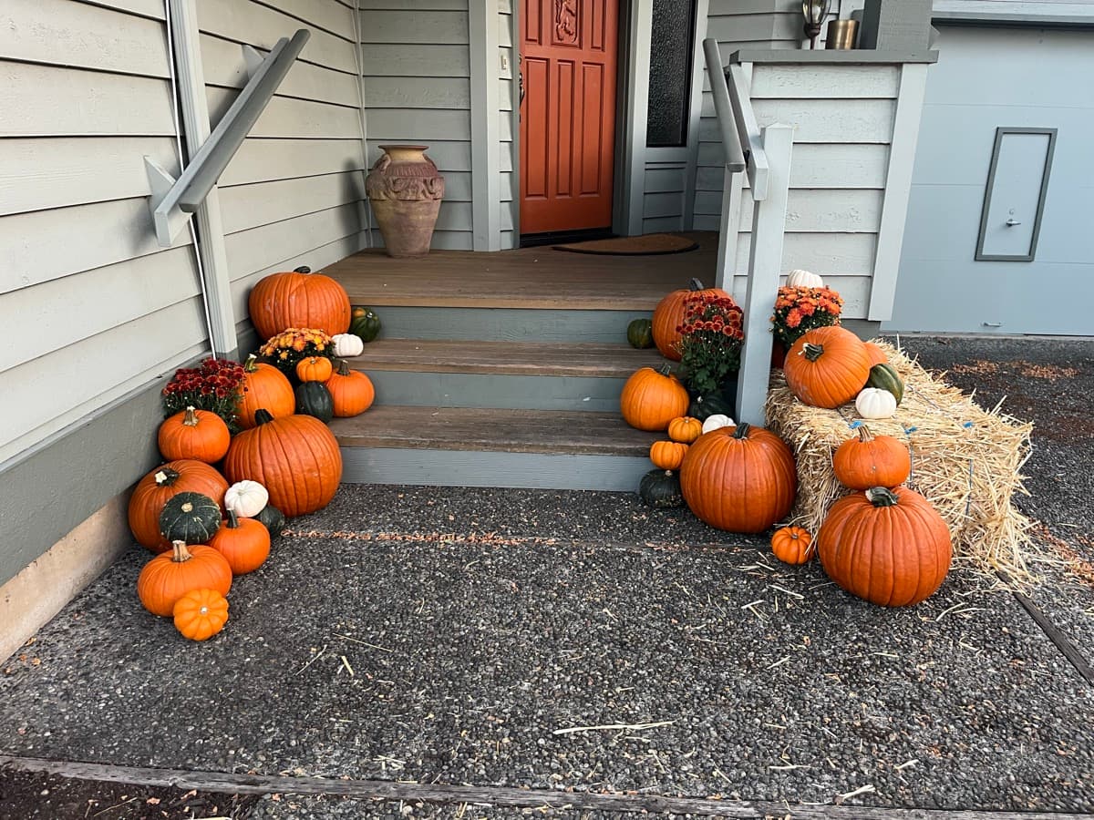 Pumpkin Display 1